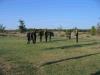 Click to view 200810010903bsfcretrickglensellers_t1.jpg