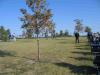Click to view 200810010935sfcretrickglensellers_t1.jpg