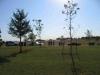 Click to view 200810010941bsfcretrickglensellers_t1.jpg