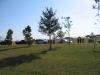 Click to view 200810010941csfcretrickglensellers_t1.jpg