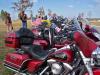 Click to view 200811291528sfcmiguelawilsonctsvc0633_t1.jpg