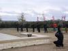 Click to view 1st_sgt_10_t1.jpg