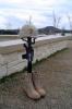 Click to view 1st_sgt_17_t1.jpg